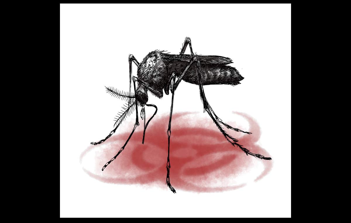 Biohazard Mosquito illustration