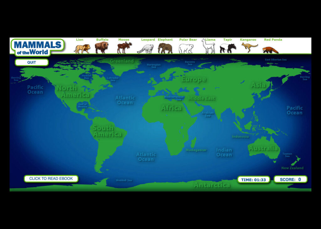 Ymi Mammals World illustration