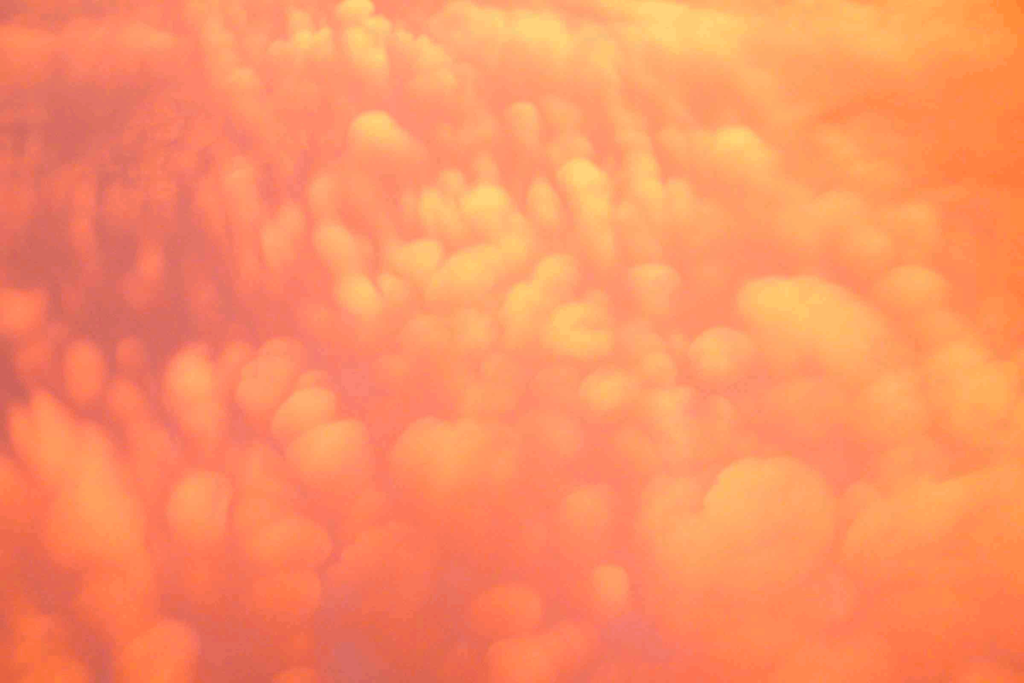 Headless CMS: The Modern Web Architecture Your Site Needs — Dangerous Media insights